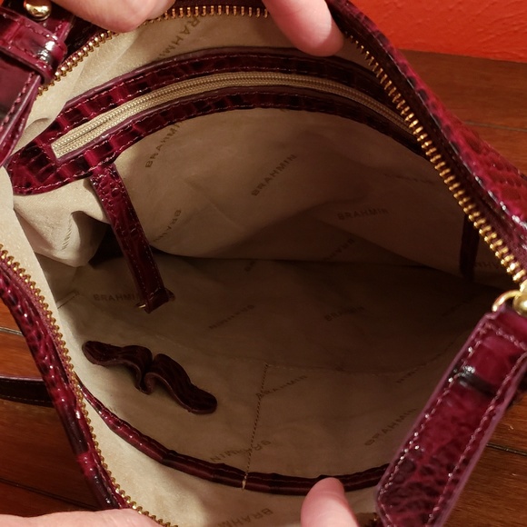 Brahmin Jody - Picture 7 of 8